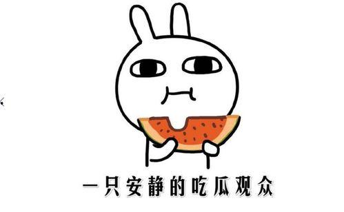 吃瓜群众表示什么意思,网络时代的围观力量